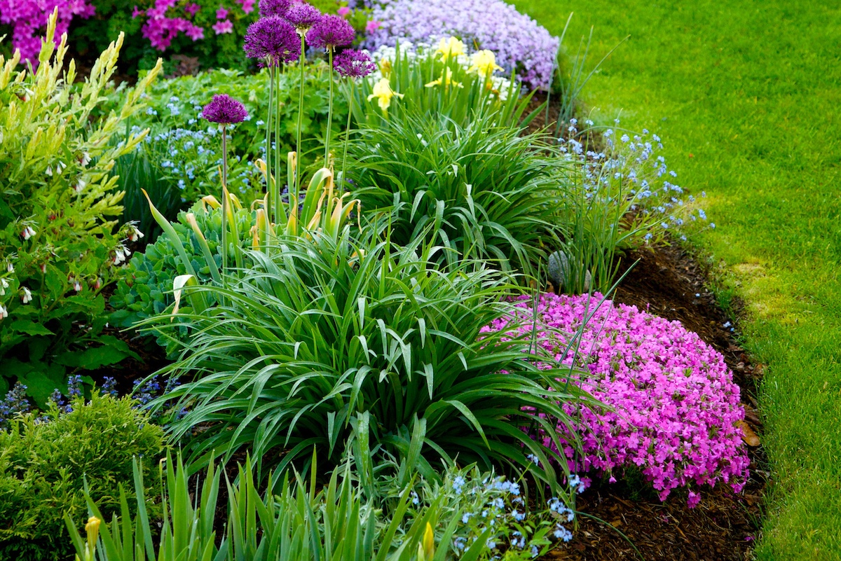 Revitalizing Your Garden: Expert Tips for Residential Landscape Design hero image