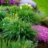 Revitalizing Your Garden: Expert Tips for Residential Landscape Design related image